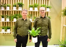 Rob Braam and Bart Oostveen were at the fair on behalf of Henk Braam Varens-Ferns bv with some extra attention on the new Asplenium.
